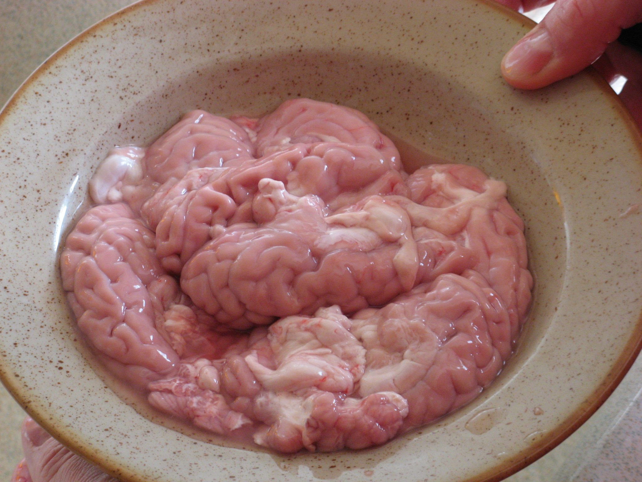 Comment Faire Cuire De La Cervelle De Porc Souvenir d’avant : la cervelle de porc – La famille Maillard (Val d’Oise)